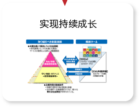 可持续性发展经营的框架